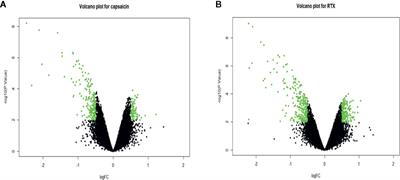 Regulation of Pain Genes—Capsaicin vs Resiniferatoxin: Reassessment of Transcriptomic Data